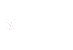 banque-delubac-bw