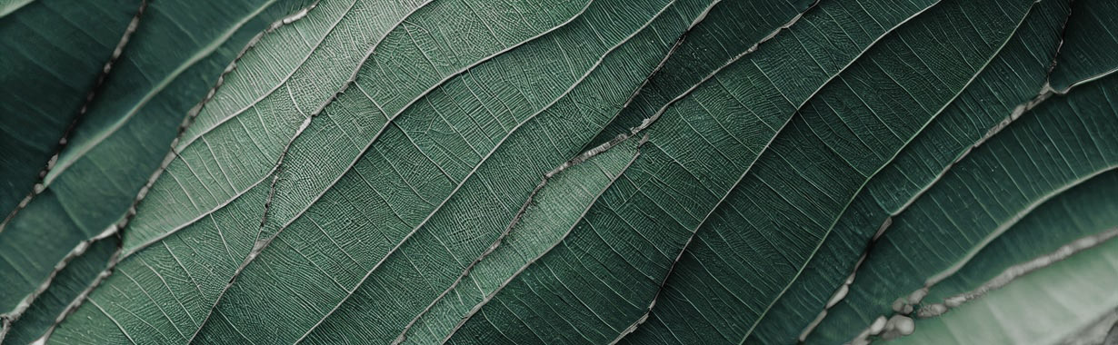 Green It Header