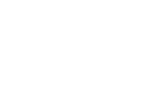 vinci-energies-bw